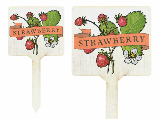 Strawberry Plant Marker Stake Printed Sign Outdoor Garden Allotment