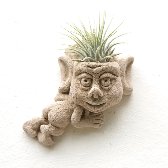 Wall Creeper Airplant Holder, Air Plant Sculpture, Stone Planter, Wall Hanging, Creeper, Handmade in Wales