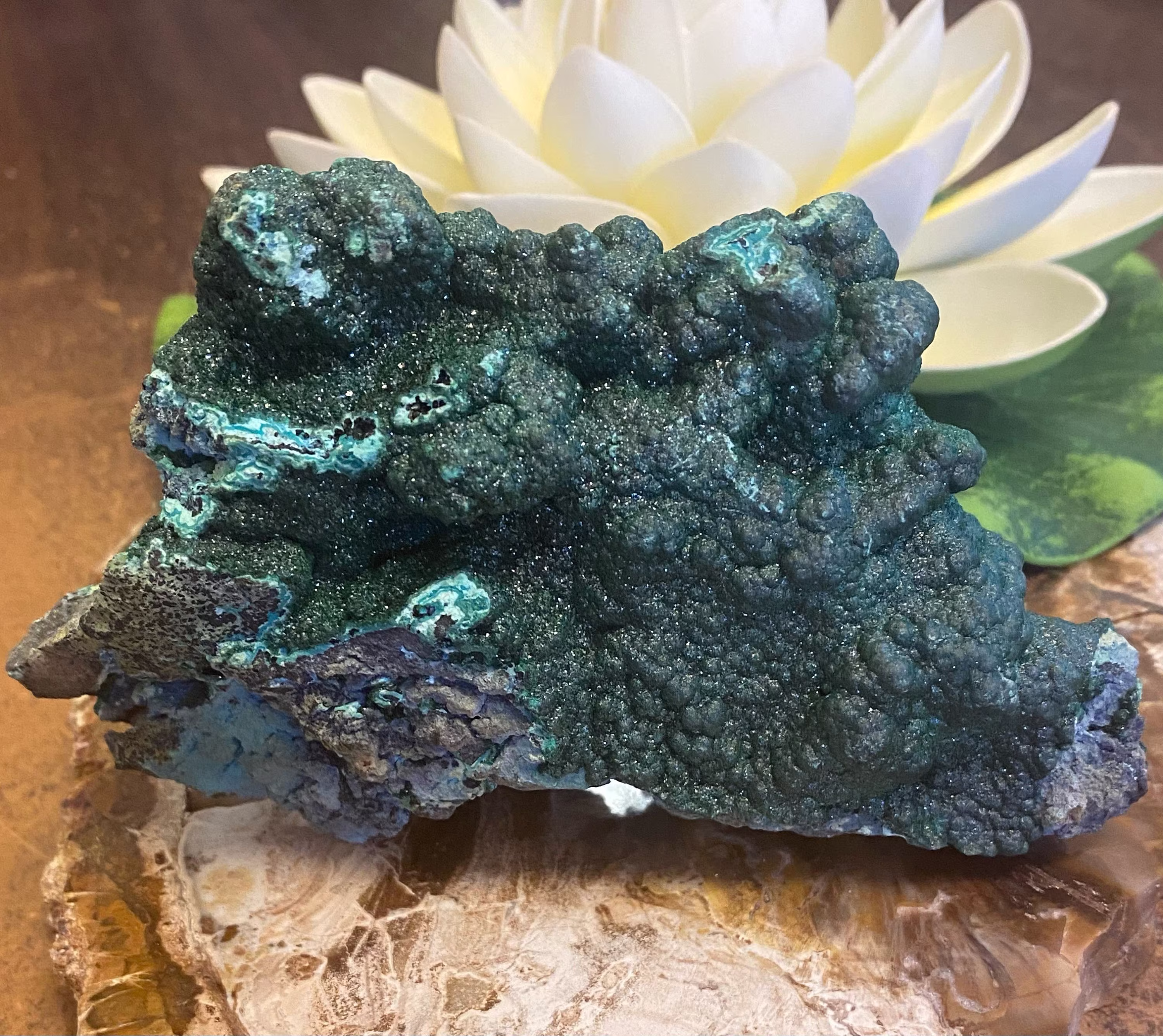 Botryoidal Malachite & Chrysocolla Mineral Specimen - Mal 18