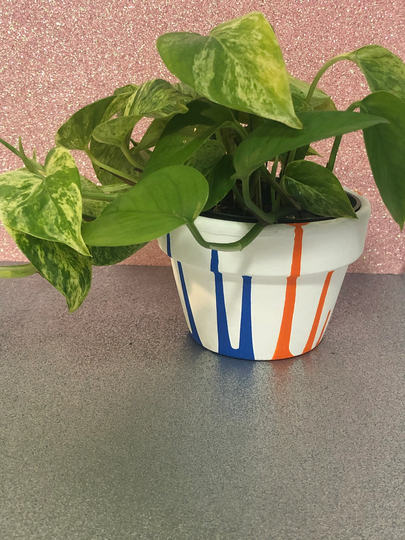 Neon Colored Planter| Terra Cotta & Plastic