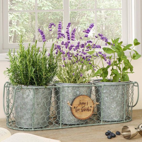 Personalised Grow Your Own Gin Garden Herb Planters