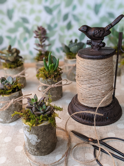 Tree Trunk Mini Planters
