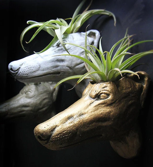 Greyhound Dog Head Hanging Wall Pot For Succulent
