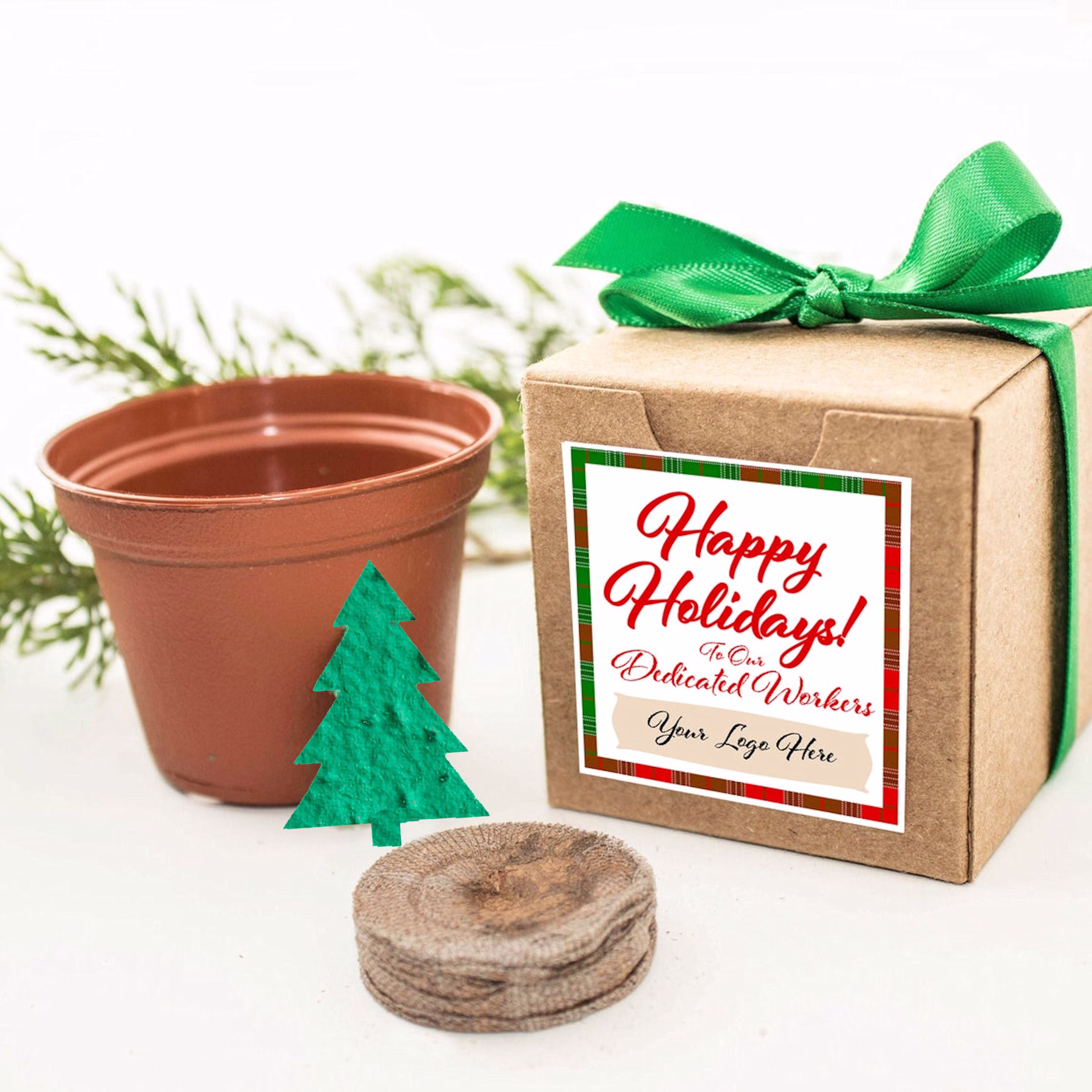 Christmas Tree Grow Kit Gift Ready Plantable Paper Happy Holidays Evergreen Seeds, Party Favor, Ornament, Stocking Stuffer