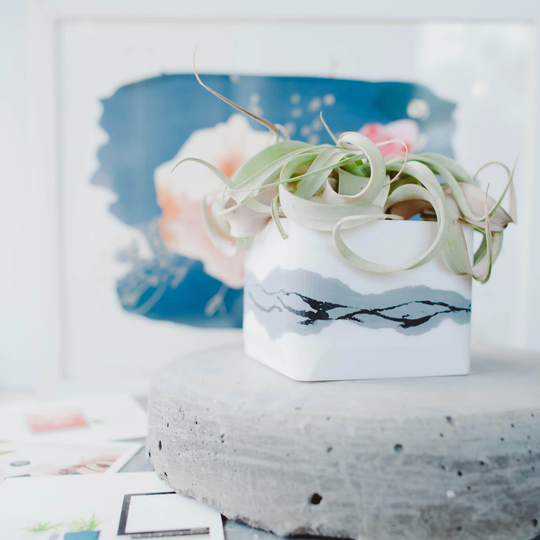 Modern Succulent Planter || Cactus Planter - Abstract Grey White Indoor Small