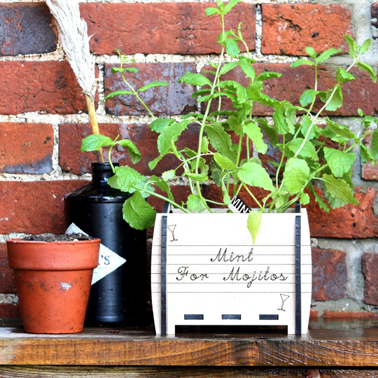 Individual Personalised Planter