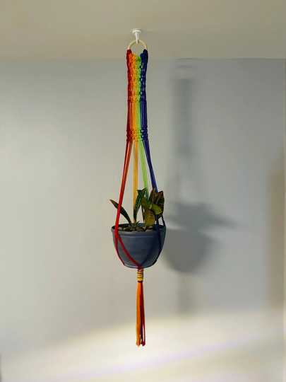 Rainbow Macrame Plant Hanger/ Pride Long Bohemian Hanger