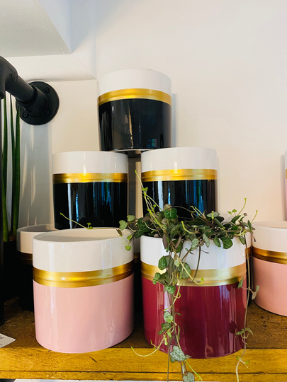Indoor Plant Pot in Black, Pink Or Begundy-12cm Deep - Really Stylish Gloss Finish Pots Perfect For Festive Plants
