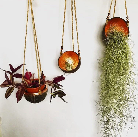 Hanging Planter - Pocococo For Air Plants