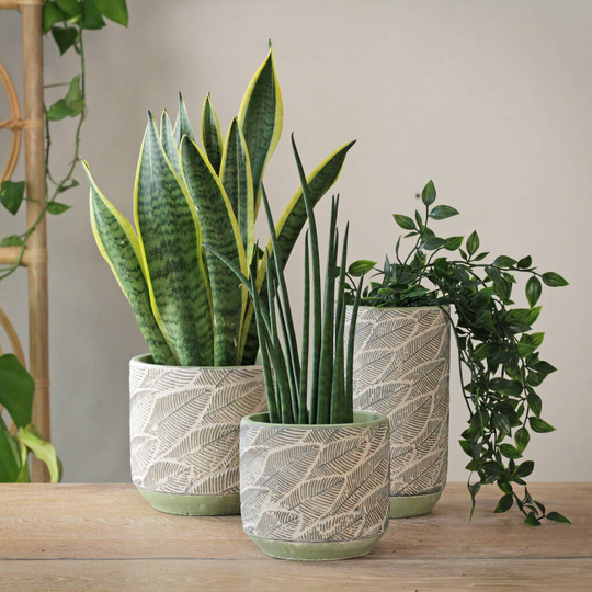 Terracotta 'Leaf' Planters And Vase