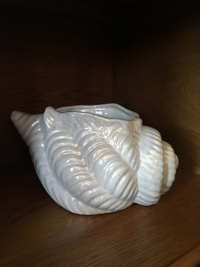 Opalescent White Sea Shell Planter Bowl Dish Beach Nautical Theme Unique Decoration