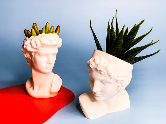 Bust Head Planter| Set Of 2| Planter Bundle Set |Head Planter|Greek Bust Planter|Succulent Planter|Desk Decor|Indoor Garden| Theclassic2