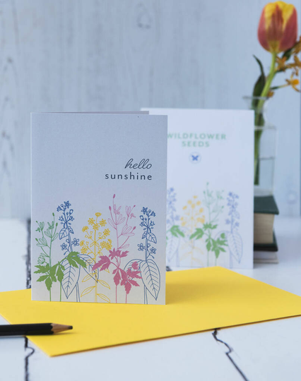 Card And Wildflower Seeds Post A Ray Of Sunshine
