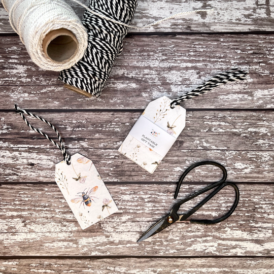 Bee & Insect Plantable Seed Gift Tags, Wildflower Tags