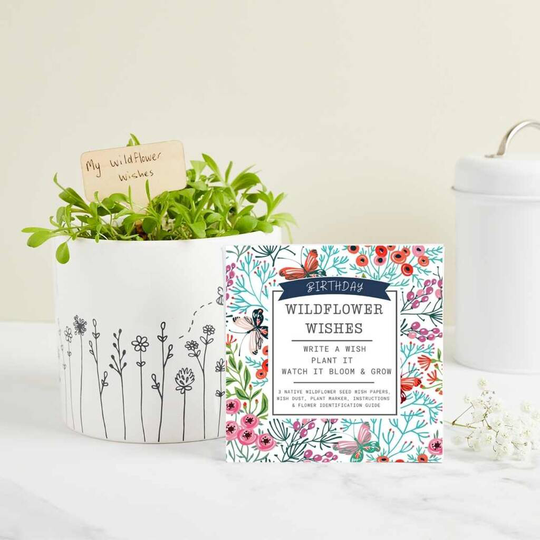 Birthday Wildflower Wishes - Plantable Seed Gift Set