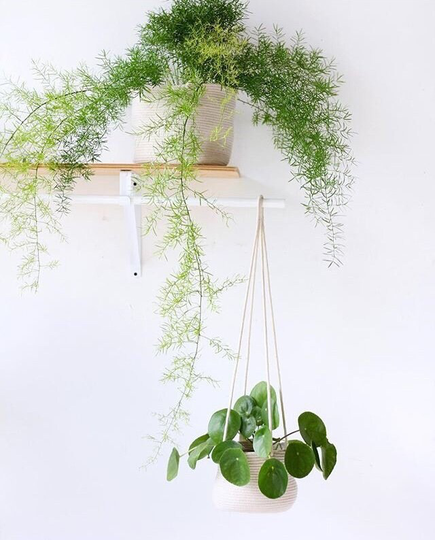 6Inch Hanging Planter Basket, For A Hanging Plant, Indoor Plant Holder, Hanger