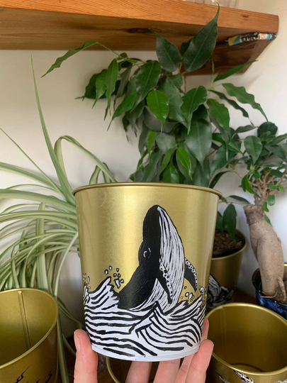Whale Hand Painted Indoor Plant Pot