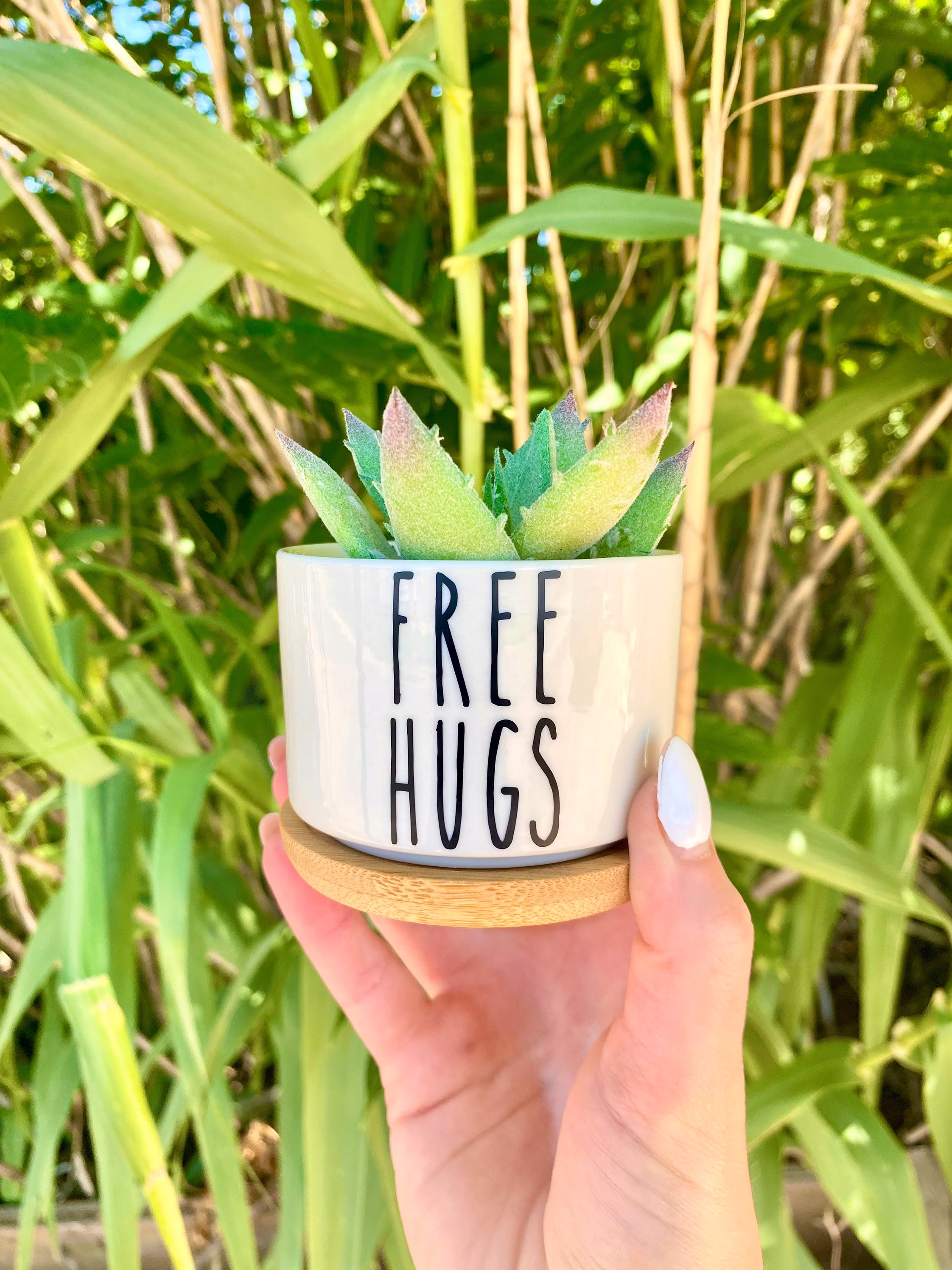Free Hugs Succulent Planter | Flower Pot Plant Lady Funny Planters Plants Cactus