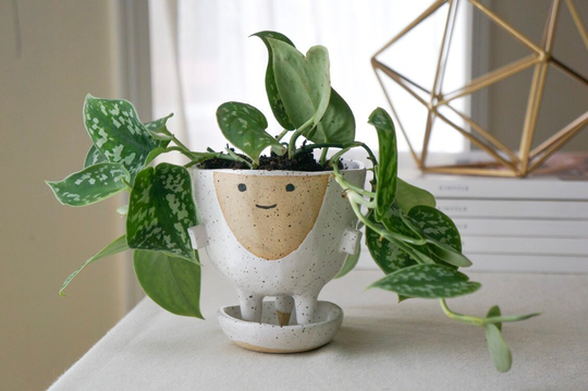 Planter With Saucer & Drainage - Luna Feet