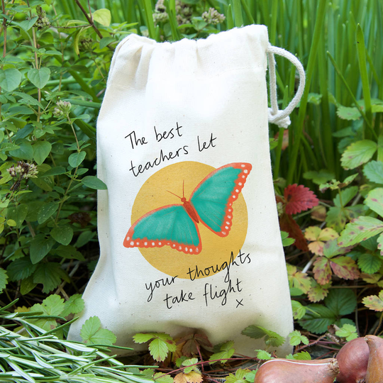 Butterfly Teacher Gift Bag With Seeds