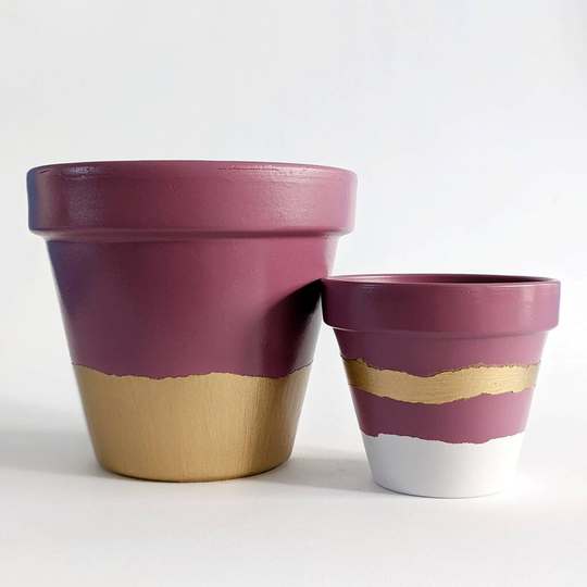 Plant Pot Bundle Perfect For Plant Lovers