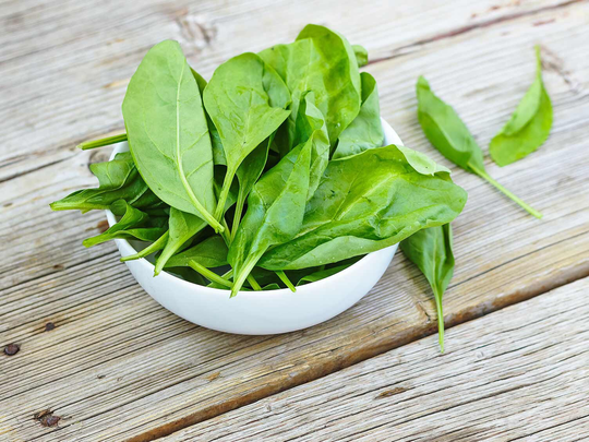 Beet Leaf Perpetual Spinach Autumn/Summer Sow Vegetable Seeds 250 Organic Seed