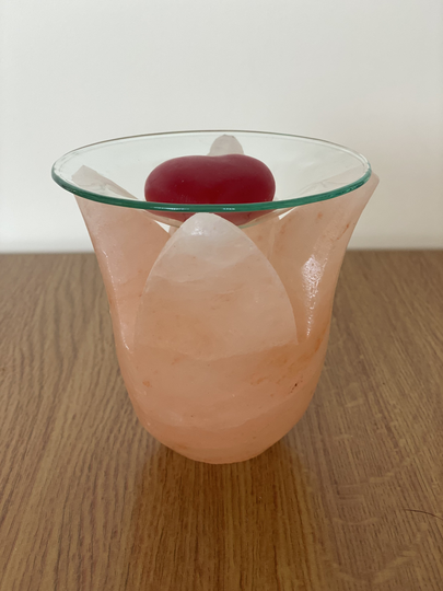 Tulip Shaped Himalayan Salt Wax Melt Burner