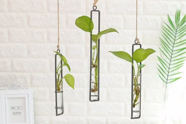 Propagation Station, Creative Wall Hanging Plant Vase, Iron Glass Hydroponics Plan Pot, Flower Bottle, Decoration, 3 Size Options