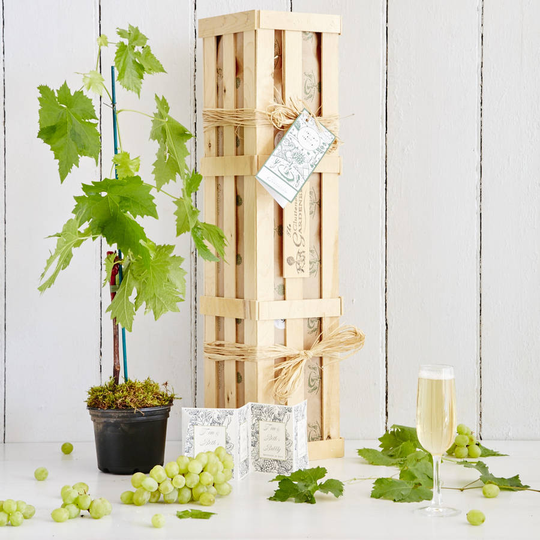 Grow Your Own Prosecco Style Sparkling Wine Gift Crate