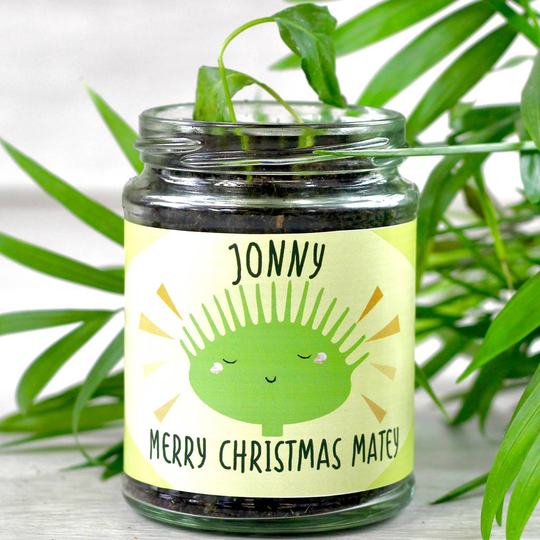 Personalised Bug Eating Plant Jar Grow Kit