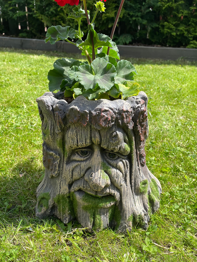 Man Face Tree Stump Planter