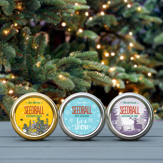 Wildflower Seeds Christmas Gift Set