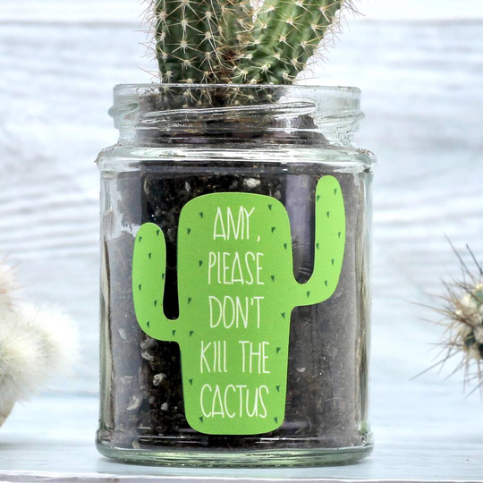 Personalised 'Don't Kill Me' Cactus Jar Grow Kit