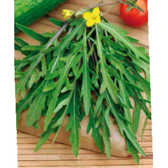 Arugula Silvetta Seeds Open-Pollinating Non Gmo For Planting | 202189