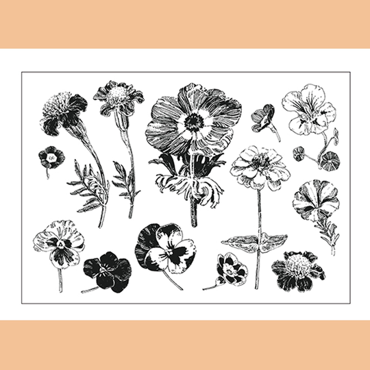 Clear Stamp Set/Clear Stamps Flower Wild Plant Branches Herbs & Leaves Themed Transparent S34