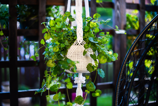 Long Double Macrame Plant Hanger, Patio Decor, Indoor Hanger, Holder, Hanging
