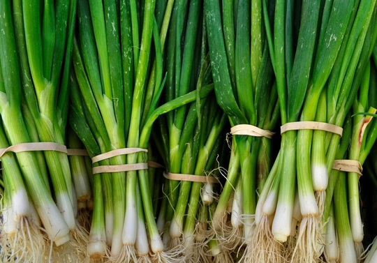 Evergreen Bunching Green Onion Seeds 50+ Aas Winner Ships Free