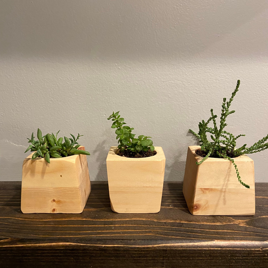 Geometric Succulent Planters - Set Of 3 | Indoor Potted Planter Handmade Wooden Home Decor