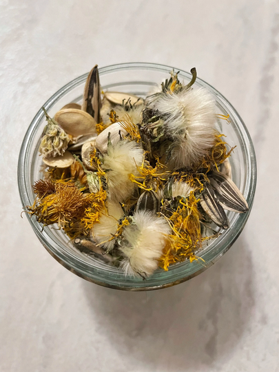 Rabbit Treat - Dandelion, Sunflower Seed, White Clover, Squash Seed | 1Oz Organic