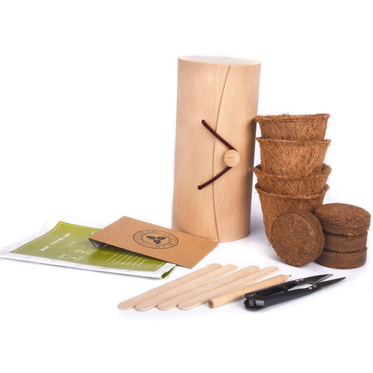 Benobby Kids - Herb Seed Garden Seeds Kit - For Gardening Herb - Garden Herb Seed Grow Kit - Plant Starter Kit - Indoor Herb seeds Starter Kit-Wooden