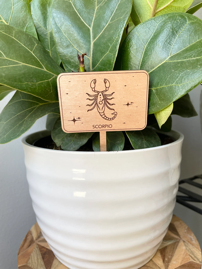 Zodiac Plant Signs| Markers| Birthday Gift | Boho Decor Sticks Garden Accessories| Scorpio
