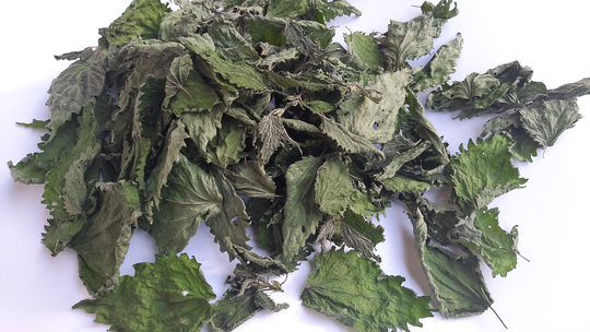 Dried Wild Nettle Leaves - Whole Leaf Harvest June 2022
