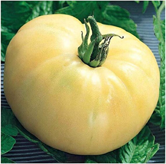 Vegetable - Tomato White Beauty 15 Premium Quality Seeds