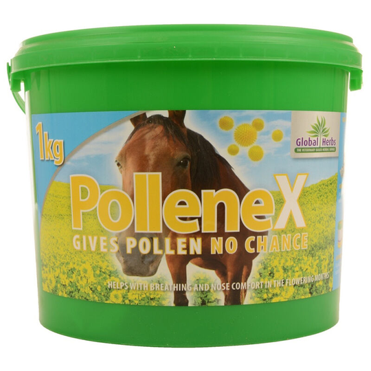 PolleneX (1kg) (May Vary) - May Vary - Global Herbs