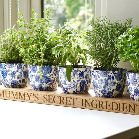 Personalised Indoor Herb Planter