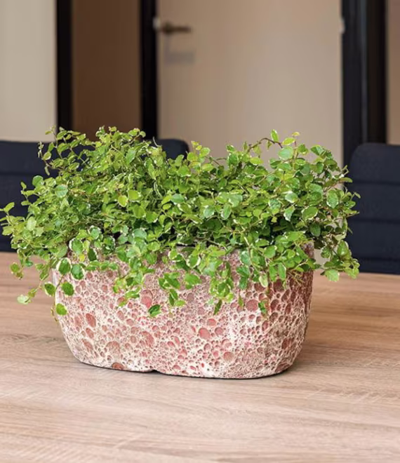 Pink Ceramic Moon Crater Lava Textured Pot Planter Indoor Oudoor Herbs Stone Fired Handmade Glazed Inside Interior Design Decor