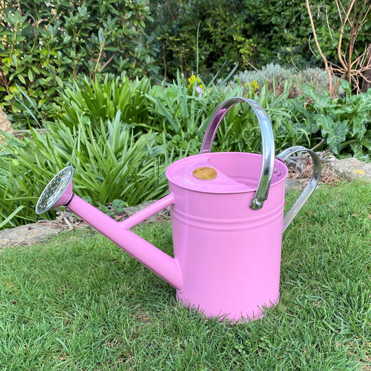 Pink & Chrome Metal Watering Can With Rose
