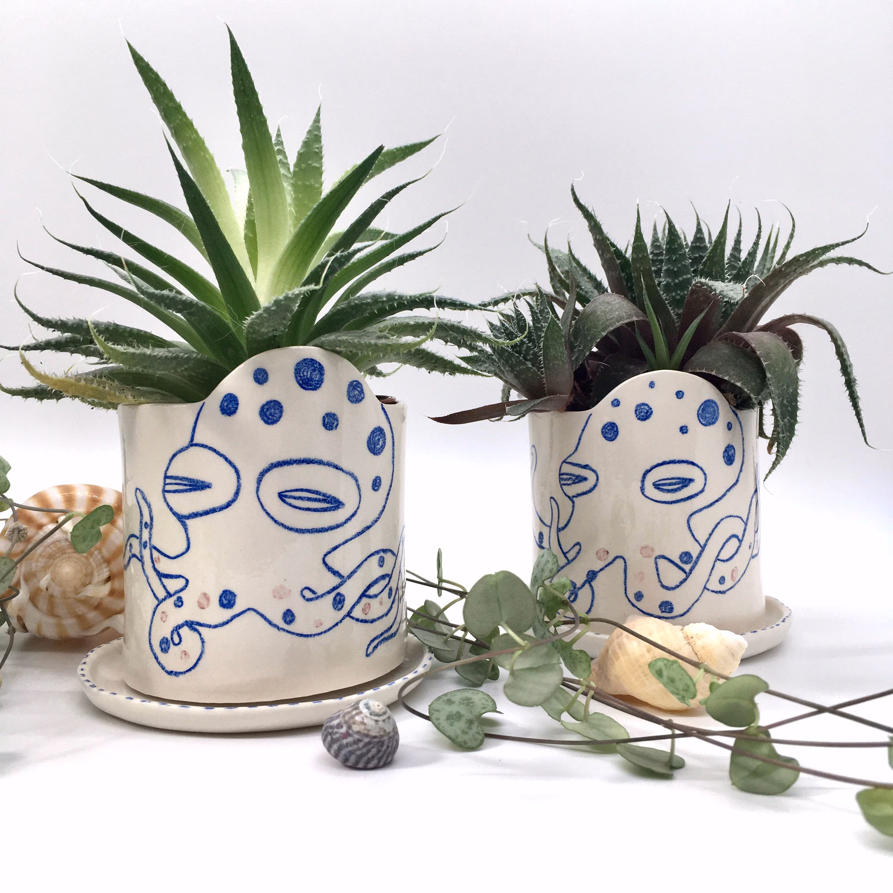 Octopus Handmade & Illustrated Ceramic Flowerpot For Small Succulents