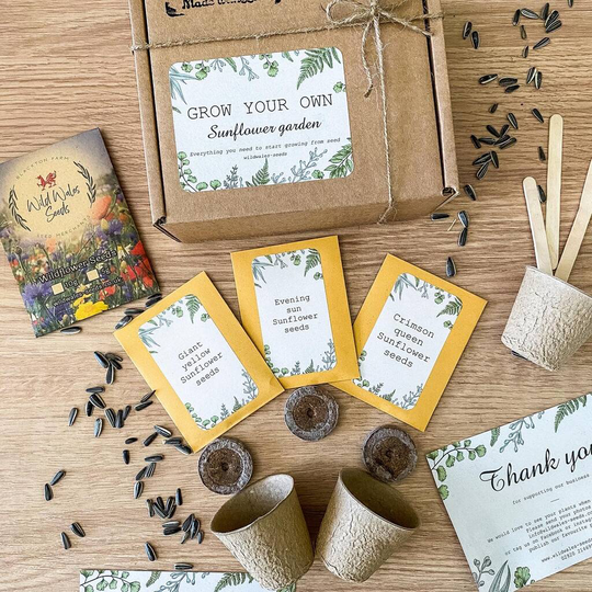 Grow Your Own Sunflower Garden