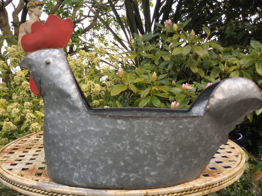 Galvanised Chicken Rooster Garden Planter Outdoor/Indoor